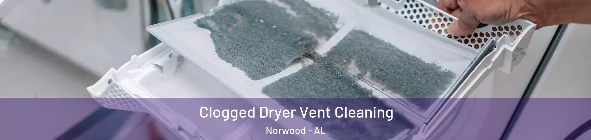 Clogged Dryer Vent Cleaning Norwood - AL
