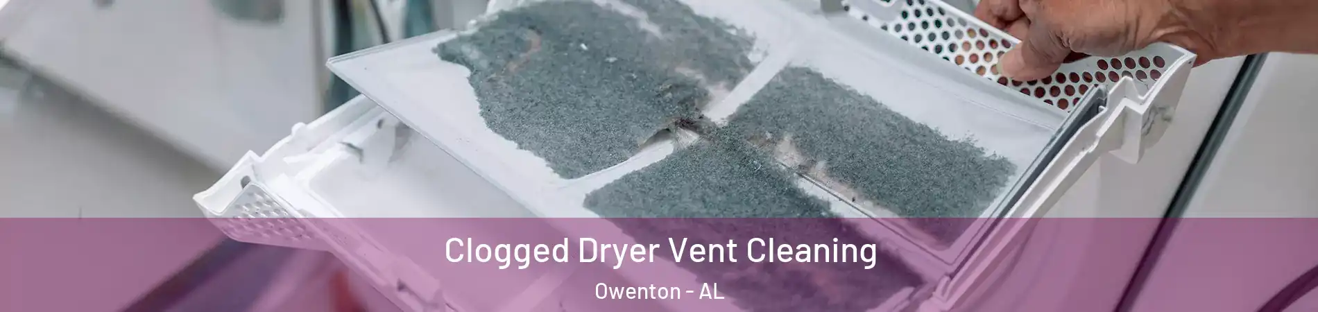 Clogged Dryer Vent Cleaning Owenton - AL