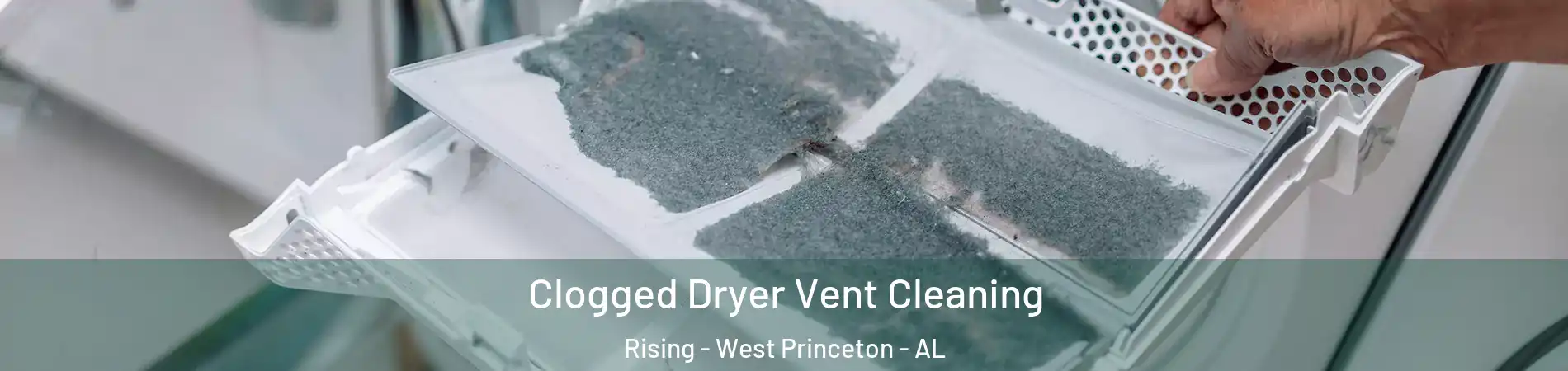 Clogged Dryer Vent Cleaning Rising - West Princeton - AL