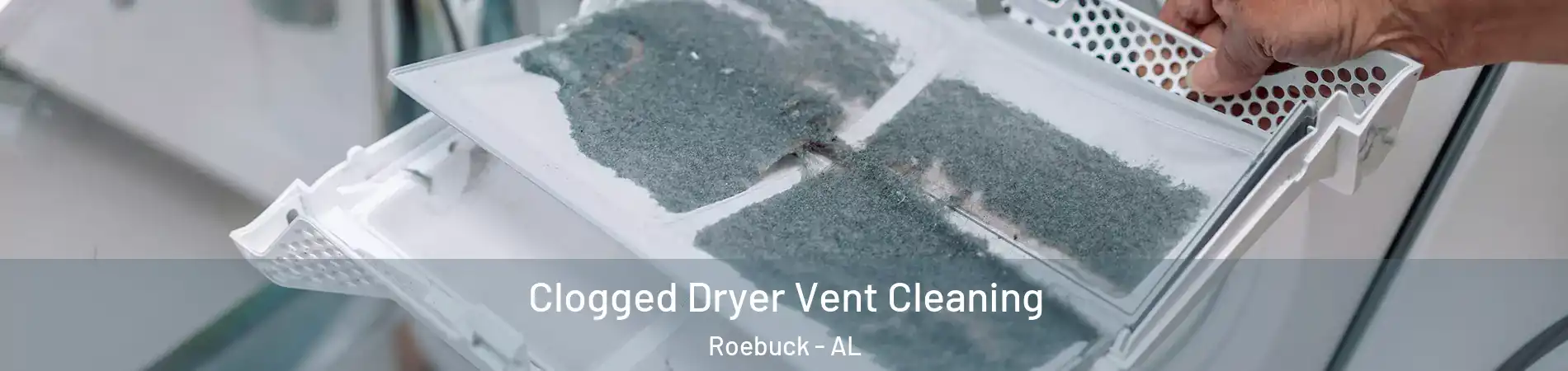 Clogged Dryer Vent Cleaning Roebuck - AL