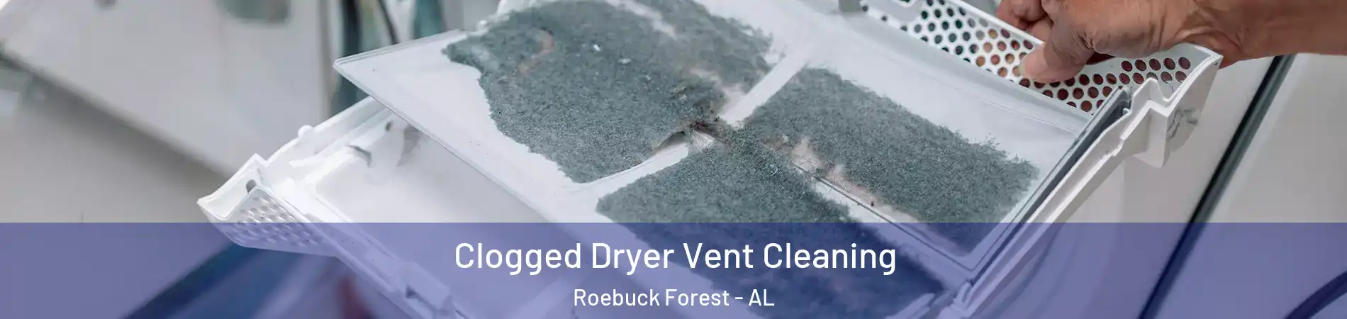 Clogged Dryer Vent Cleaning Roebuck Forest - AL