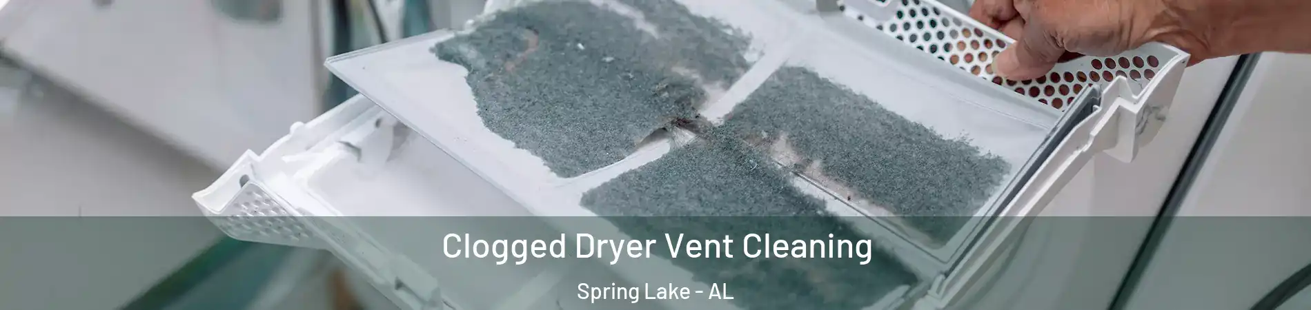 Clogged Dryer Vent Cleaning Spring Lake - AL