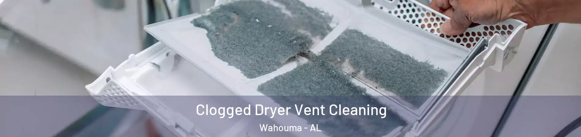 Clogged Dryer Vent Cleaning Wahouma - AL