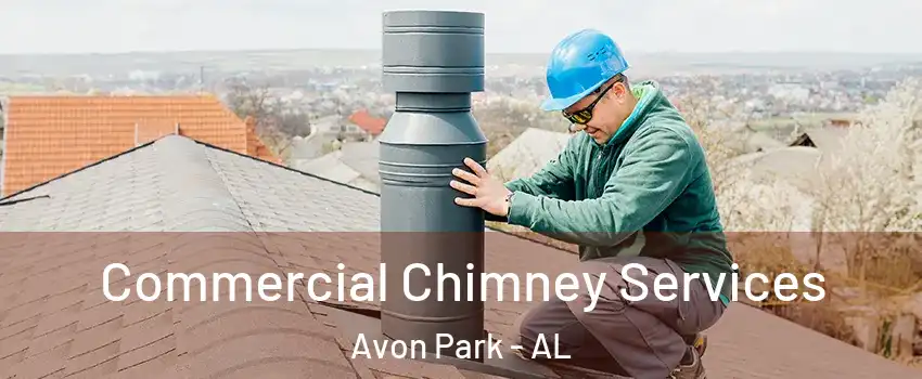 Commercial Chimney Services Avon Park - AL