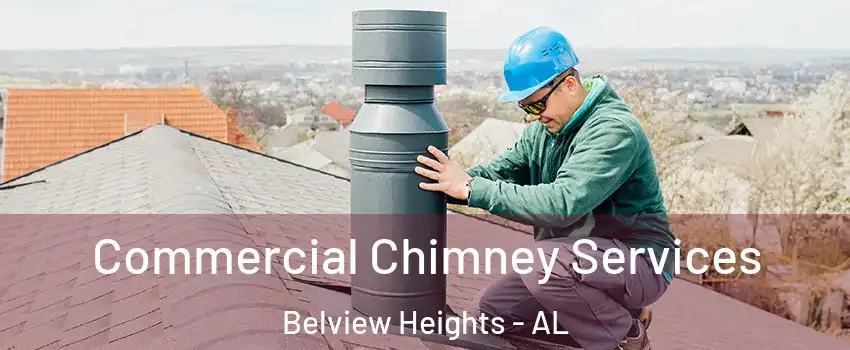 Commercial Chimney Services Belview Heights - AL