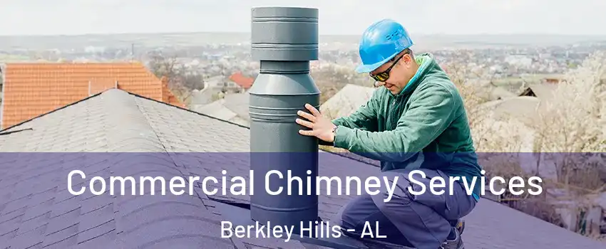 Commercial Chimney Services Berkley Hills - AL