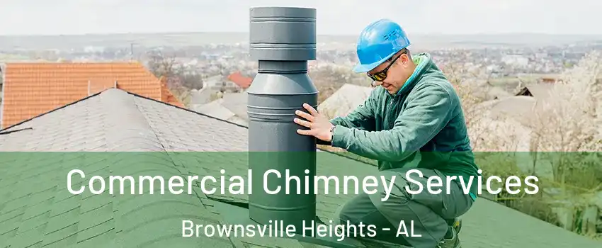Commercial Chimney Services Brownsville Heights - AL