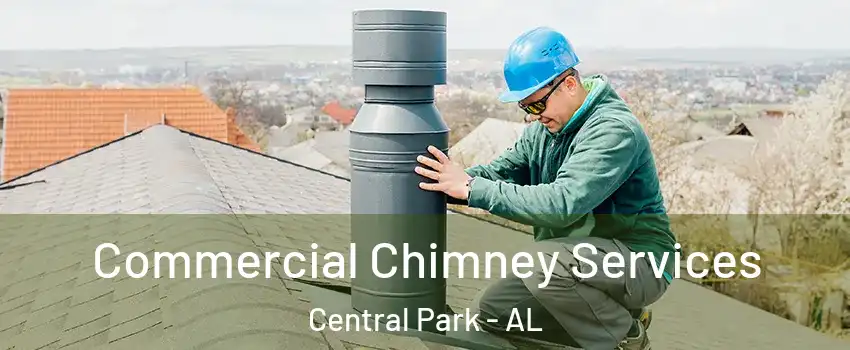 Commercial Chimney Services Central Park - AL