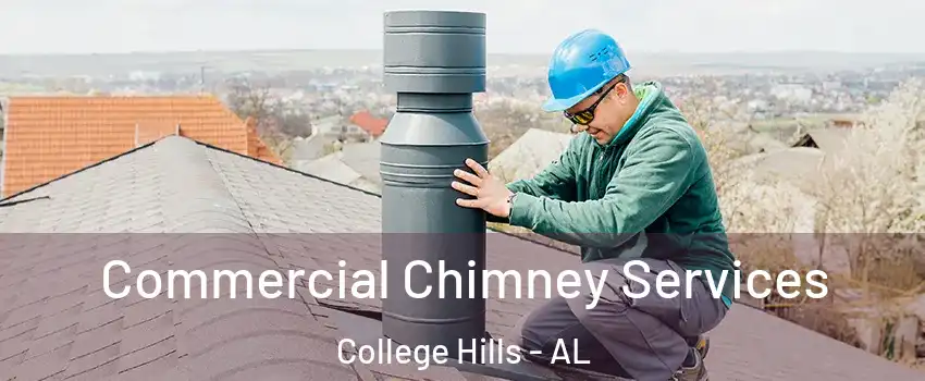 Commercial Chimney Services College Hills - AL