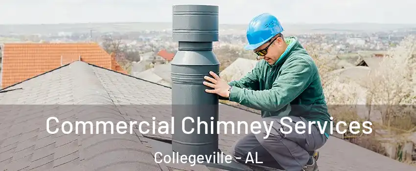 Commercial Chimney Services Collegeville - AL