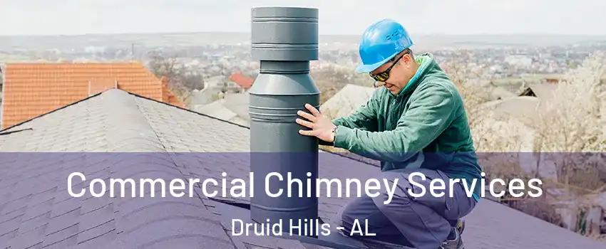 Commercial Chimney Services Druid Hills - AL