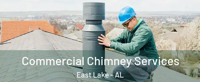 Commercial Chimney Services East Lake - AL