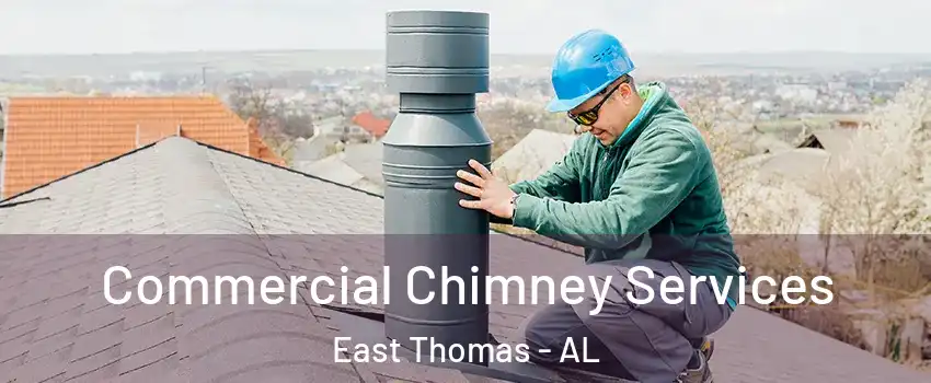 Commercial Chimney Services East Thomas - AL