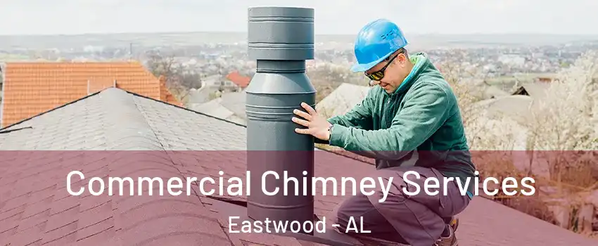 Commercial Chimney Services Eastwood - AL