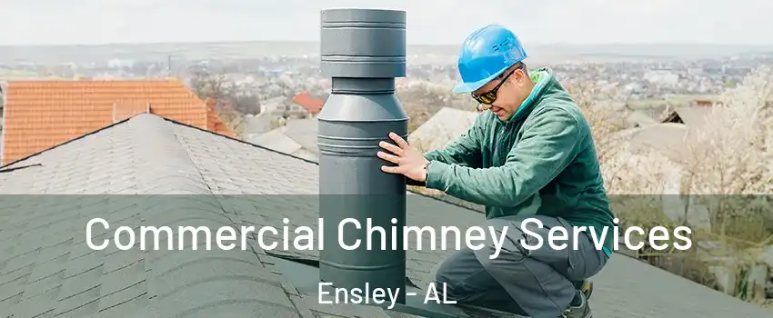 Commercial Chimney Services Ensley - AL