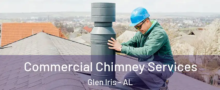 Commercial Chimney Services Glen Iris - AL