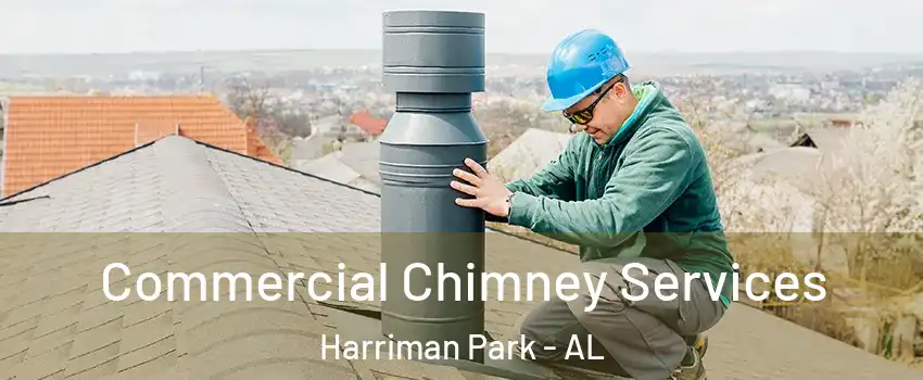 Commercial Chimney Services Harriman Park - AL