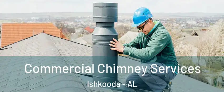 Commercial Chimney Services Ishkooda - AL