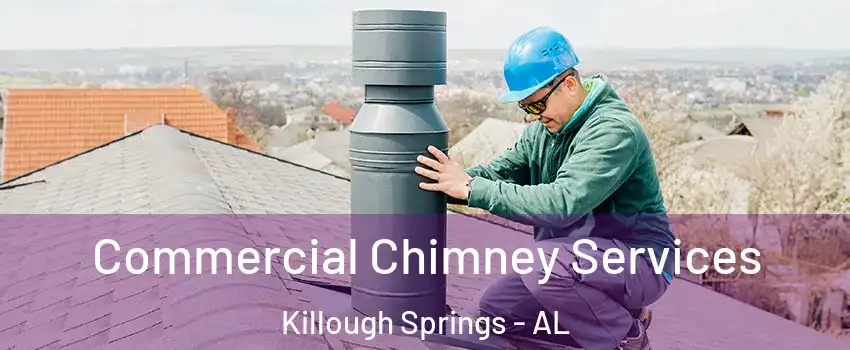 Commercial Chimney Services Killough Springs - AL