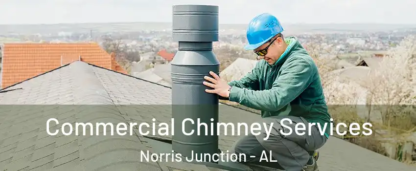 Commercial Chimney Services Norris Junction - AL