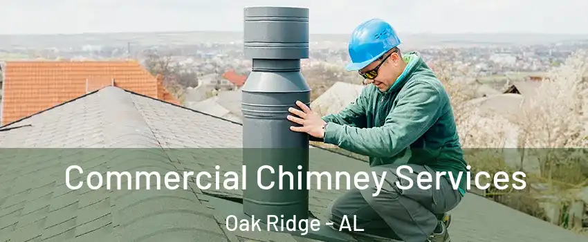 Commercial Chimney Services Oak Ridge - AL