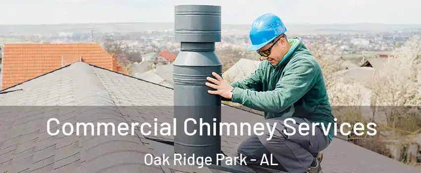 Commercial Chimney Services Oak Ridge Park - AL