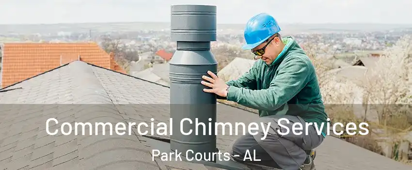Commercial Chimney Services Park Courts - AL
