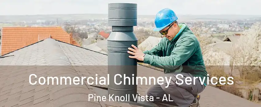 Commercial Chimney Services Pine Knoll Vista - AL
