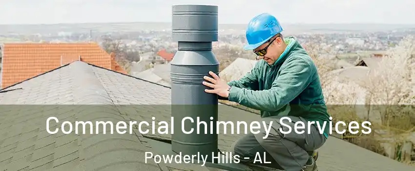Commercial Chimney Services Powderly Hills - AL