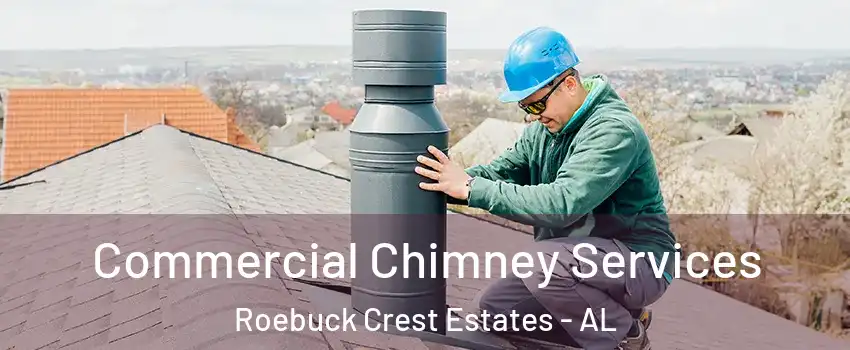 Commercial Chimney Services Roebuck Crest Estates - AL