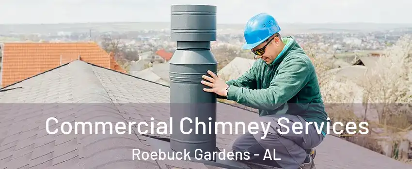 Commercial Chimney Services Roebuck Gardens - AL