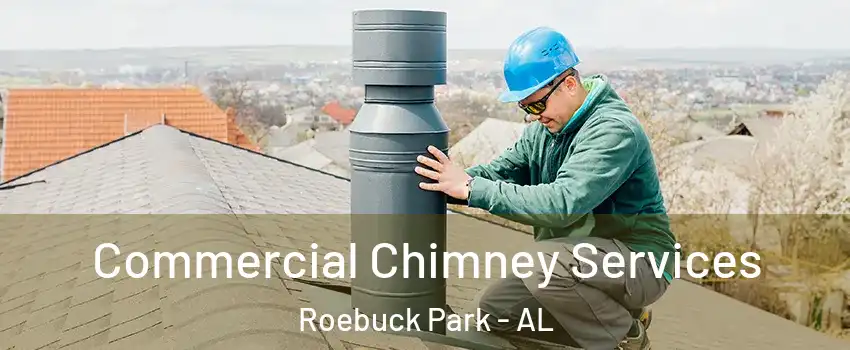 Commercial Chimney Services Roebuck Park - AL