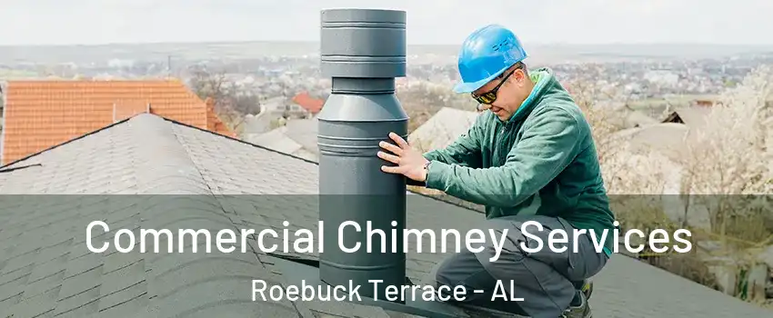 Commercial Chimney Services Roebuck Terrace - AL