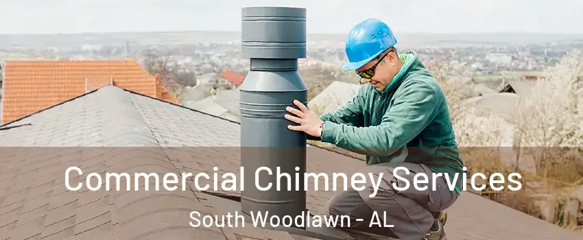 Commercial Chimney Services South Woodlawn - AL