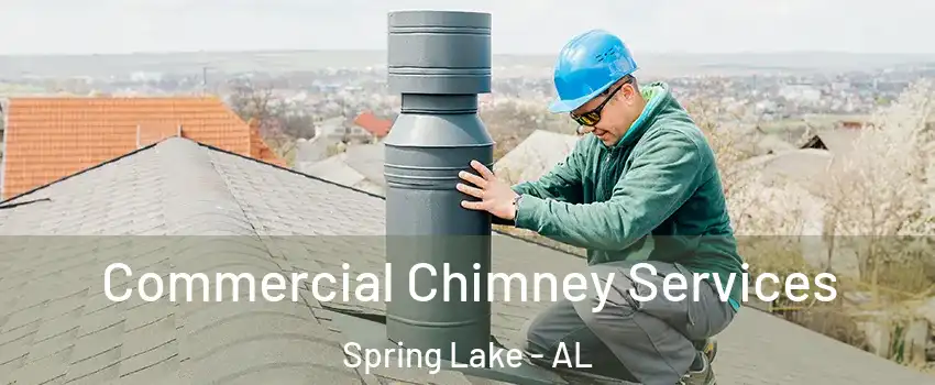 Commercial Chimney Services Spring Lake - AL