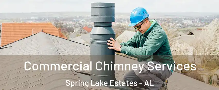 Commercial Chimney Services Spring Lake Estates - AL