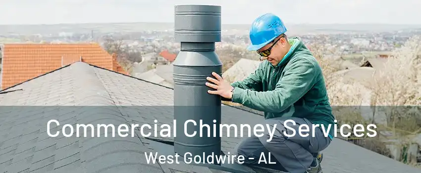 Commercial Chimney Services West Goldwire - AL