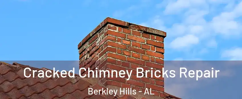 Cracked Chimney Bricks Repair Berkley Hills - AL