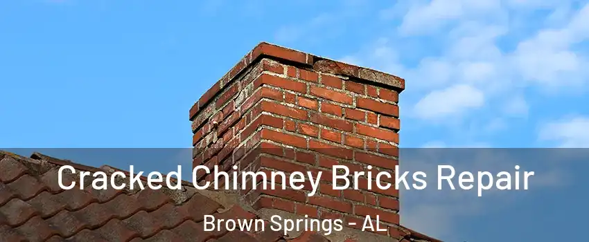 Cracked Chimney Bricks Repair Brown Springs - AL