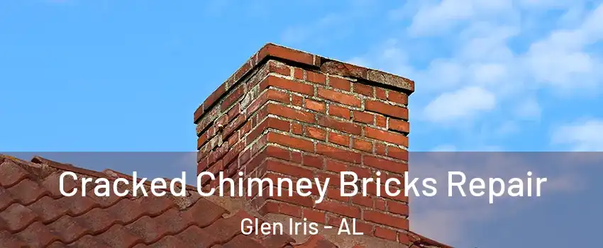 Cracked Chimney Bricks Repair Glen Iris - AL