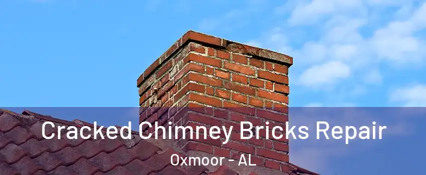 Cracked Chimney Bricks Repair Oxmoor - AL