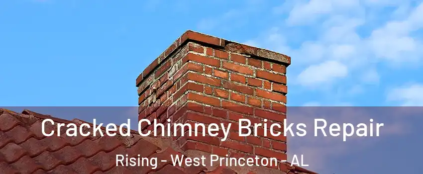 Cracked Chimney Bricks Repair Rising - West Princeton - AL
