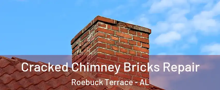 Cracked Chimney Bricks Repair Roebuck Terrace - AL