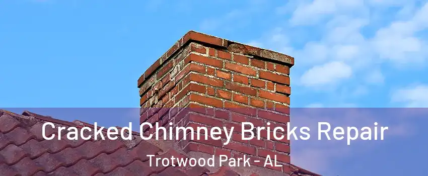 Cracked Chimney Bricks Repair Trotwood Park - AL