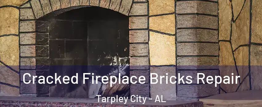 Cracked Fireplace Bricks Repair Tarpley City - AL