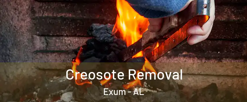 Creosote Removal Exum - AL