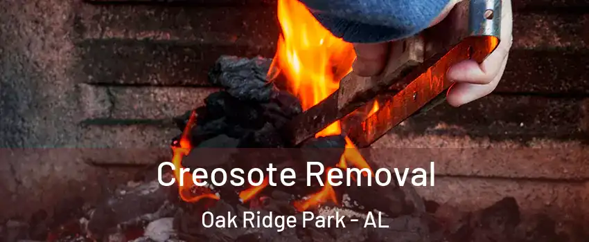 Creosote Removal Oak Ridge Park - AL