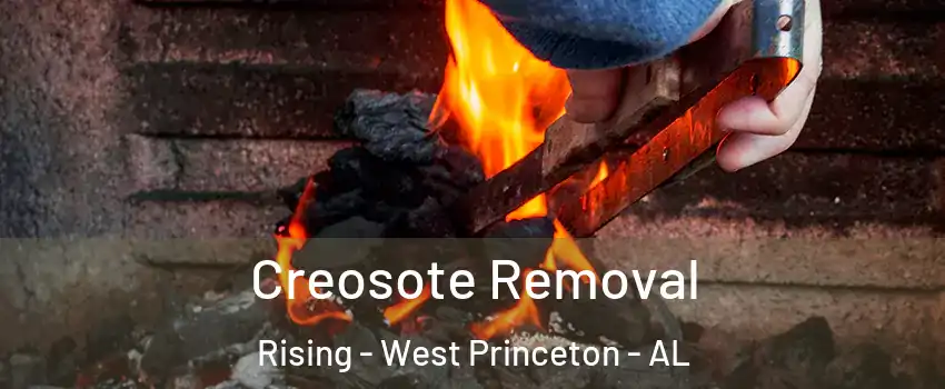 Creosote Removal Rising - West Princeton - AL