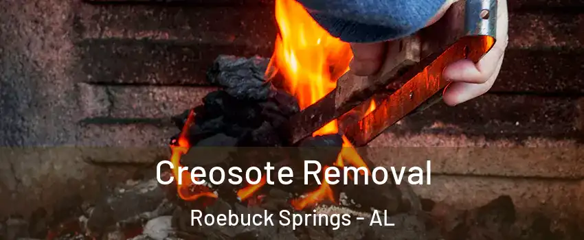 Creosote Removal Roebuck Springs - AL