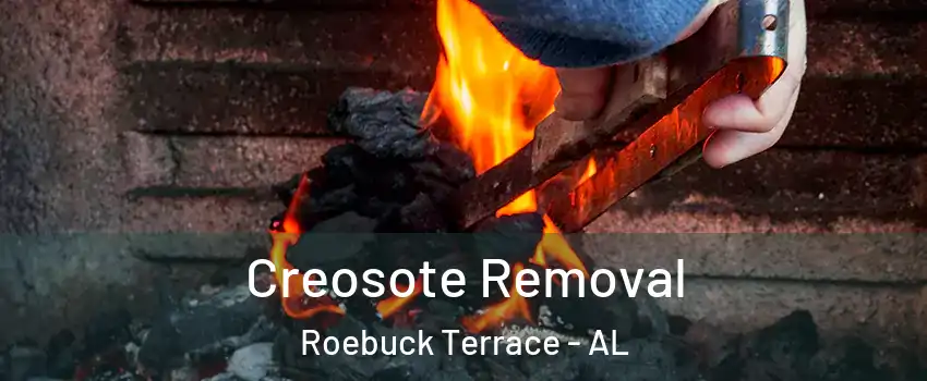 Creosote Removal Roebuck Terrace - AL